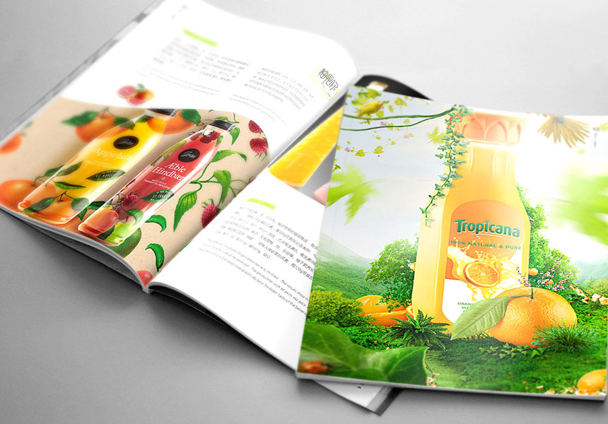 食品行业画册设计原理，食品宣传画册设计怎样吸引更多的客户？