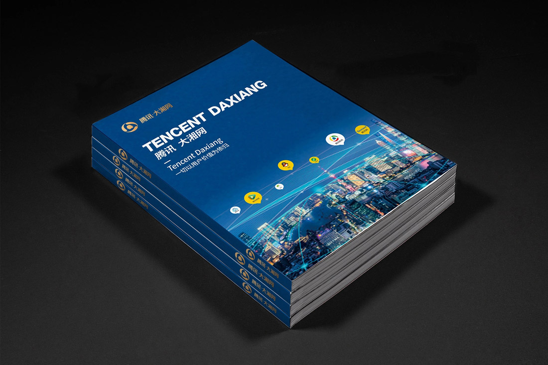 东莞网络科技宣传册设计_网络科技画册设计案例