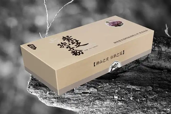 中山包装盒设计
