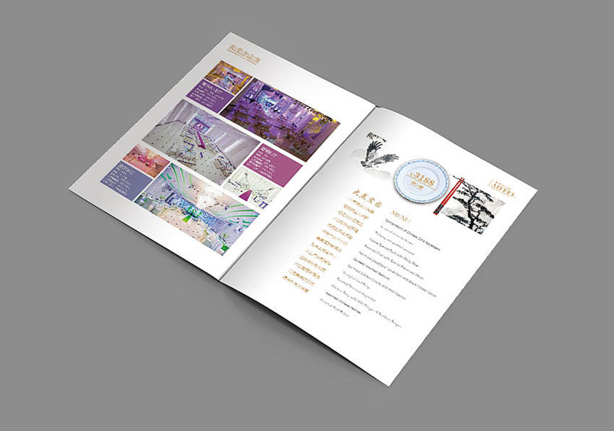 会所宣传设计_会所画册设计印刷